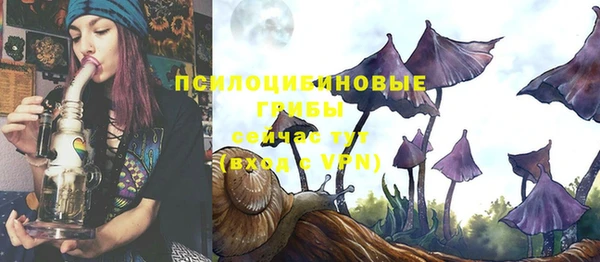 не бодяженный Армянск