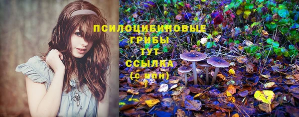 не бодяженный Армянск